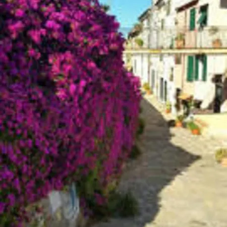 Apartment Casetta 49 *